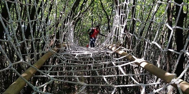 Jaring mesra. (merdeka.com)