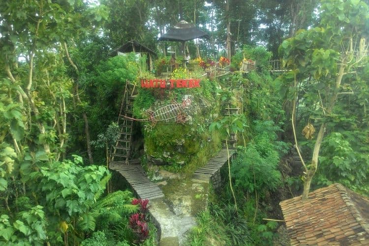 Watu Tekek, dari Berburu Tokek Beralih ke Berburu Foto