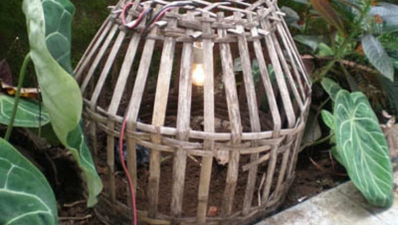 Plasenta bayi yang dikubur. (terbatas.org)