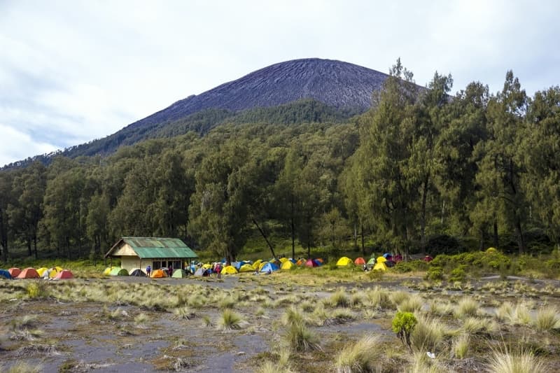 Kemah-kemah yang didirikan di kawasan Kalimati, Gunung Semeru. (Youtube.com)