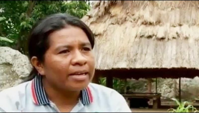 Diadian Mokunimai (Liputan6.com)