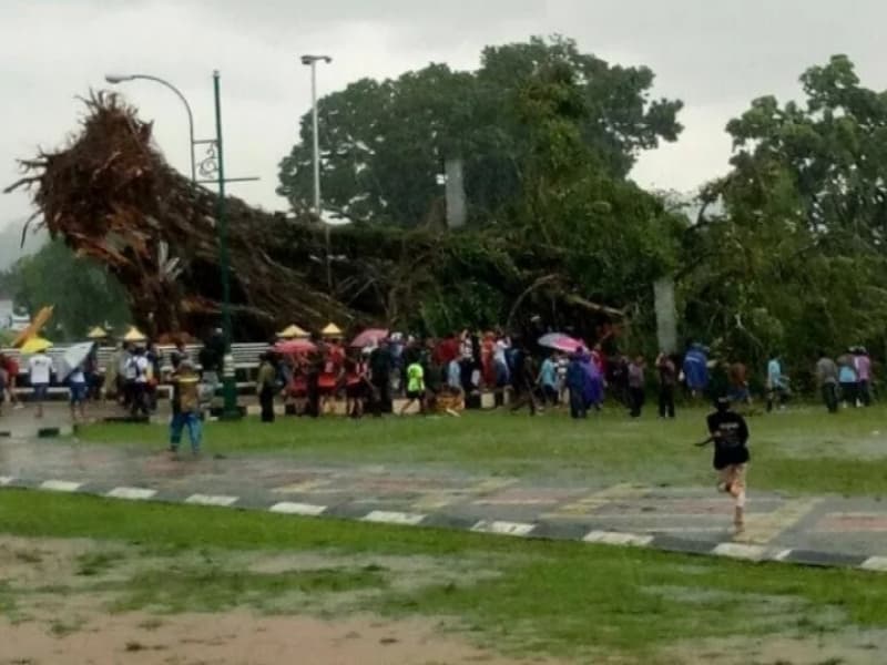Beringin Kurung di Alun-alun Banjarnegara Tumbang, 1 Tewas 6 Luka-Luka 