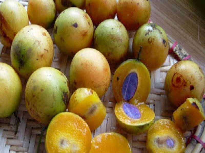 Gandaria. (seputarbuah.com)