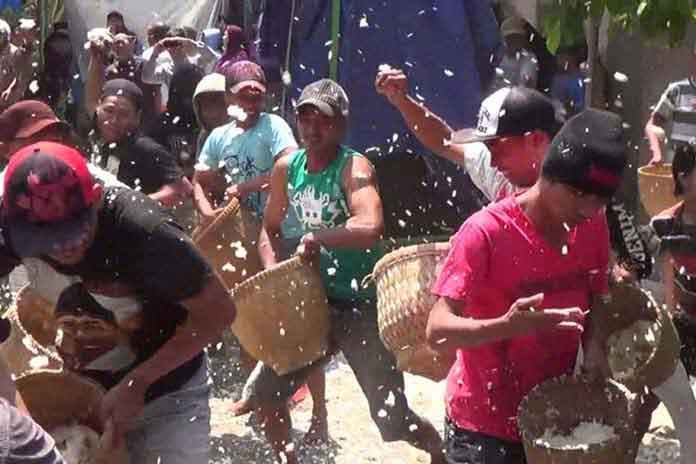 Tawur nasi di Desa Jleper, Kecamatan Mijen, Kabupaten Demak, Jawa Tengah (radarsemarang.com)