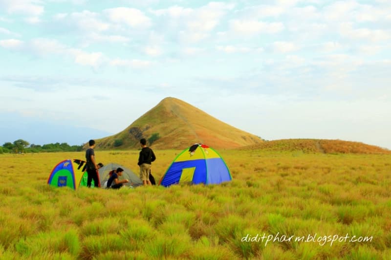 Tenda di antara padang rumput (diditpharm.blogspot.com)