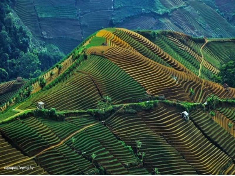 Panorama terasiring di Panyaweuyan. (Instagram/okkasupardan)