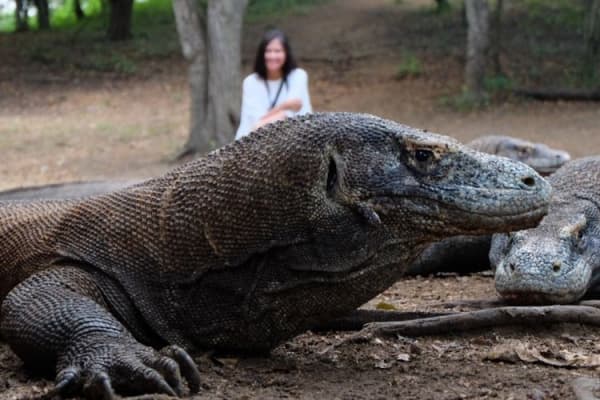Taman Nasional Komodo, Pulau Rinca, NTT. (Julianus Ebol)
