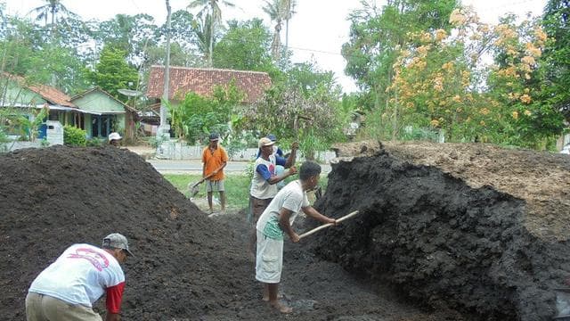 pengolahan limbah sawit jadi pupuk kompos. (liputan6.com)