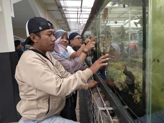 Masjid Ini Punya Eksterior Aquarium Ciamik
