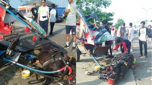 Kuda dokar yang jatuh di Stadion Pakansari, Bogor. (Bonsaibiker)
