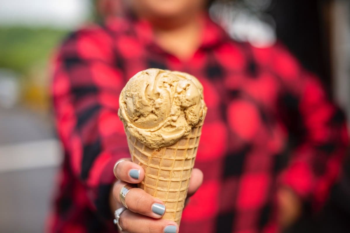 Es krim punya pelbagai manfaat dalam kesehatan. (Twitter/Velveticecream)