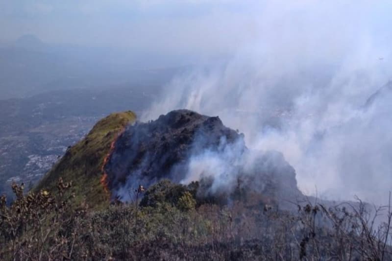 Kebakaran di Gunung Ungaran. (BPBD Semarang) 