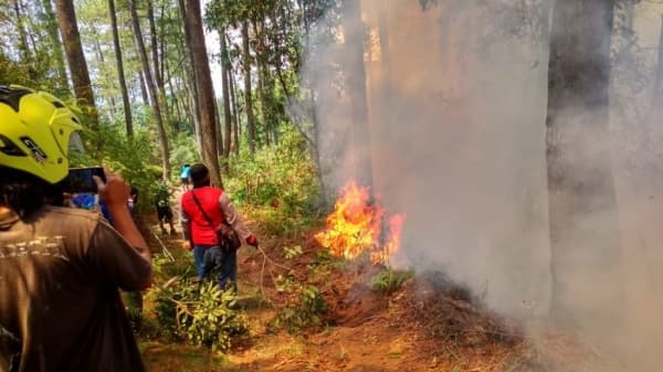 Kebakaran Gunung Ungaran. (Twitter/bpbdjateng)