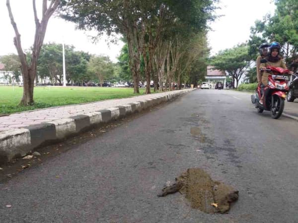 Warga Boyolali resah dengan teror pelemparan kotoran sapi. (Tekape)