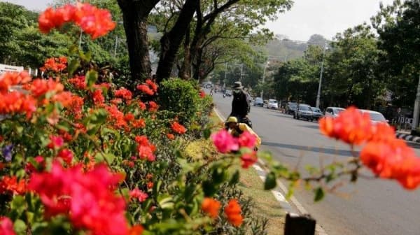 Mahasiswa Memperbaiki Taman di Jalan Pahlawan (Tribun Jateng/Hermawan Handaka)