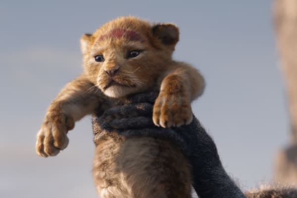 The Lion King jadi film animasi paling laris. (Vox)