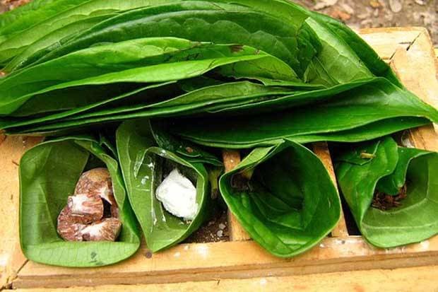 Sirih dan bahan-bahan pelengkapnya. (sindonews.com)