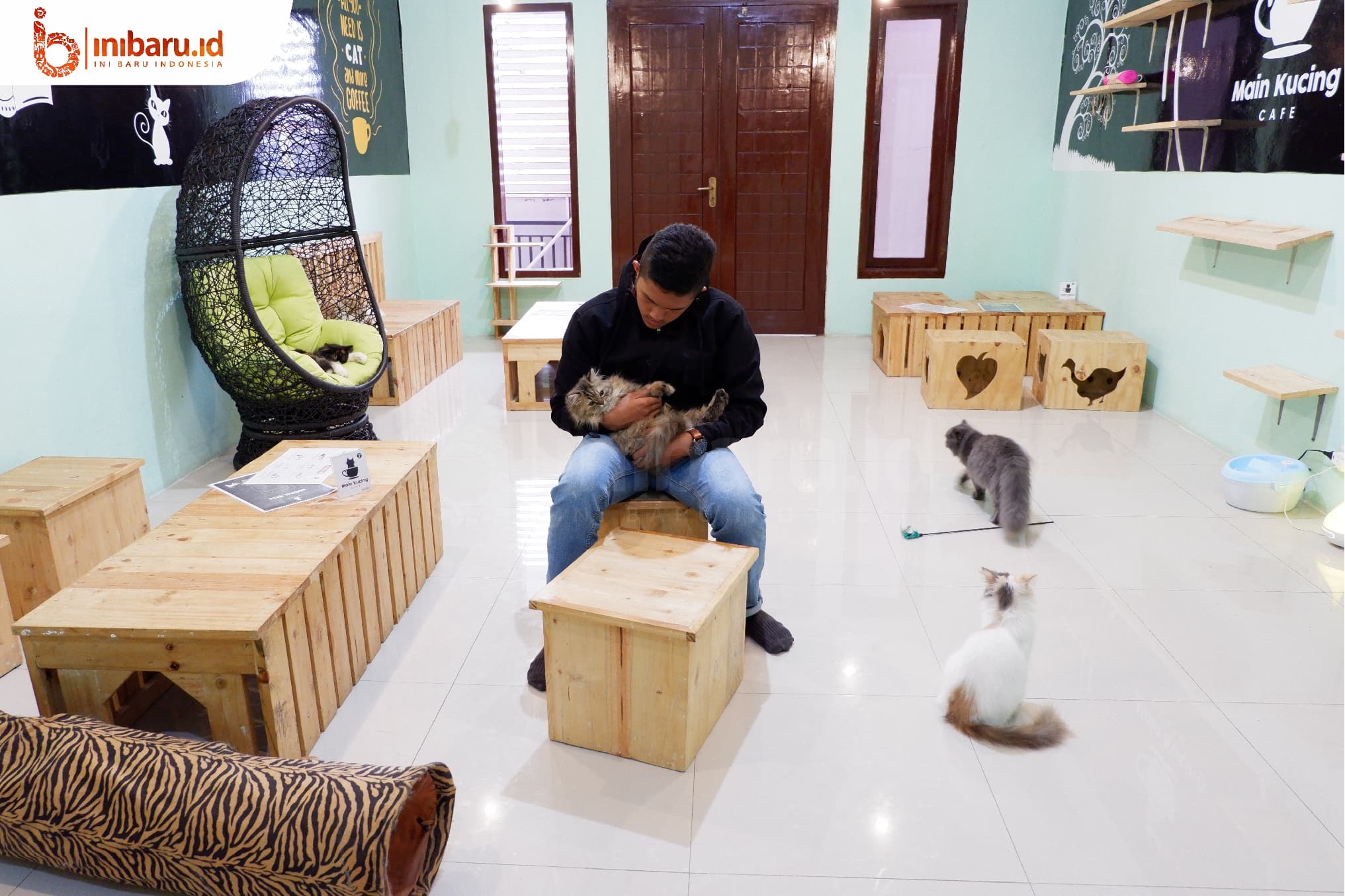 Suasana di Main Kucing Cafe. (Inibaru.id/Mayang Istnaini)