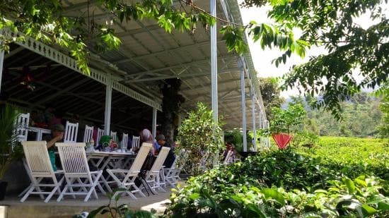 Ndoro Donker, tempat yang cocok untuk resepsi bertema pesta kebun. (Anyanote.blogspot)