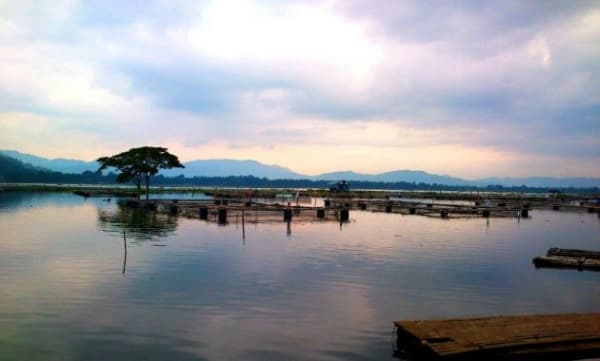 Rowo Jombor. (Jejakpiknik)