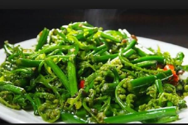 Mengulik Nutrisi Pakis, Daun Tinggi Protein yang Bisa Jadi Teman Diet