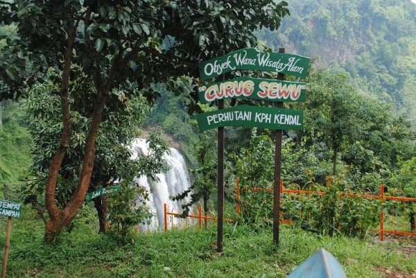 Kondisi alam Curug Sewu yang masih asri. (Triptrus)