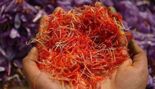 Rempah ini berasal dari bunga Saffron. (trubus.id)