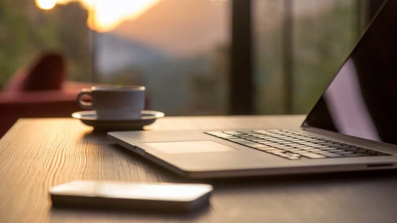 Ilustrasi freelancer. (meaa.org)