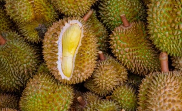 Beraroma Khas dan Lezat, Durian Juga Punya Banyak Manfaat