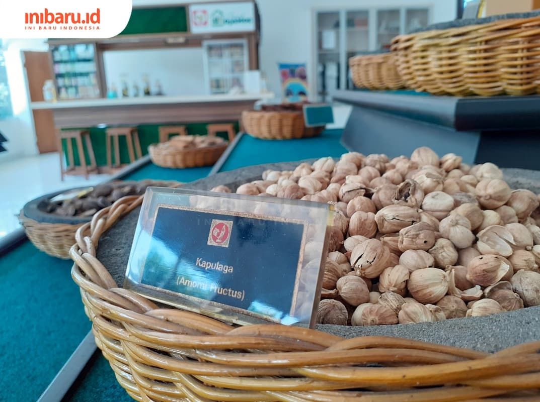 Display bahan baku jamu yangada di Museum Jamu Jago. (Inibaru.id/ Zulfa Anisah)