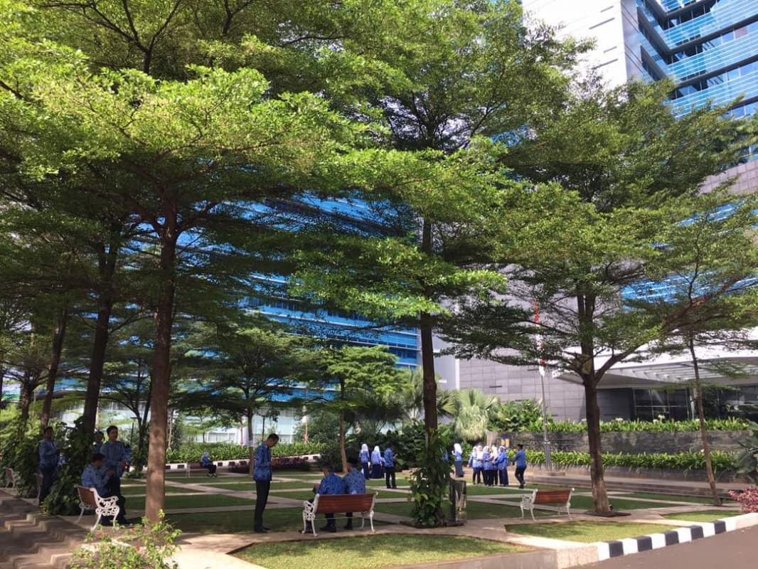 Meluangkan waktu sejenak di ruang terbuka hijau bisa mengurangi stres. (jurnalibukota.wordpress.com)