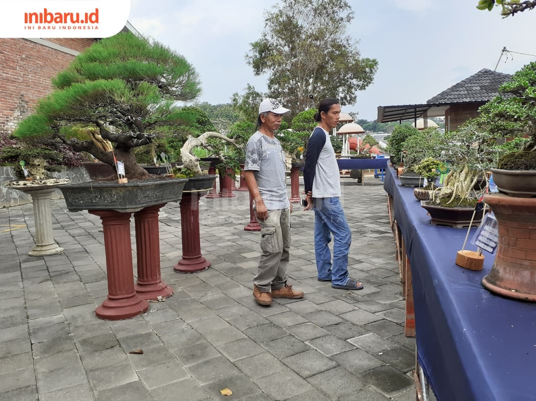 Panitia acara sedang berkeliling dan memeriksa tampilan bonsai yang mengikuti kontes. (Inibaru.id/ Zulfa Anisah)