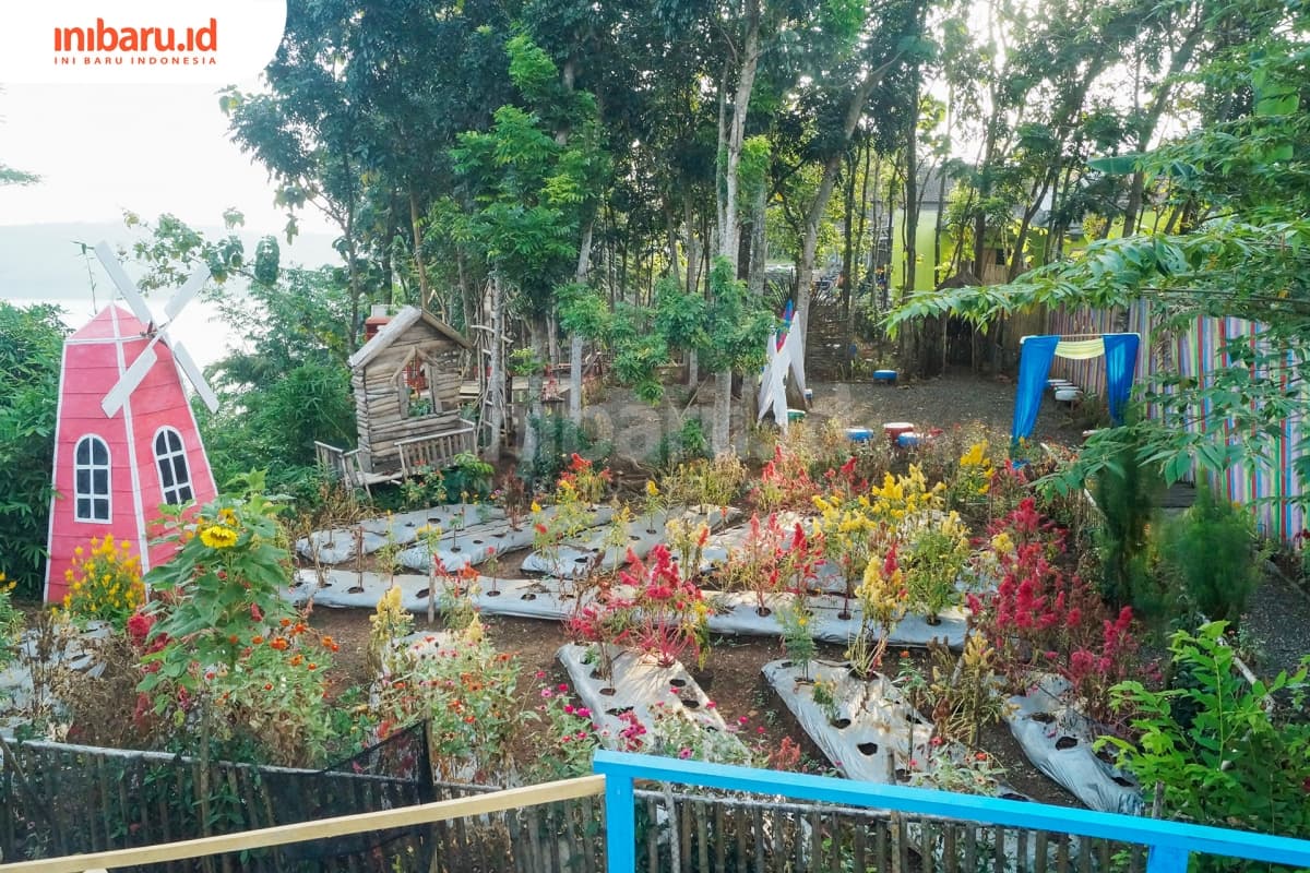 Halaman belakang salah satu rumah warga Dusun Talun Kacang yang disulap menjadi spot foto <i>Instagenik</i>