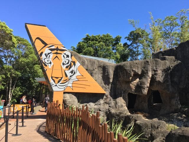 Kebun binatang harimau di Taronga Zoo. (busycitykids.co.au)