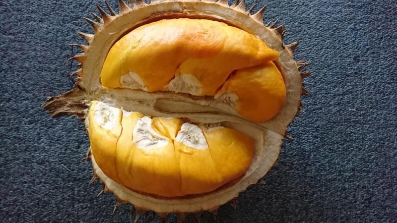 Buah lai, mirip durian tapi baunya nggak menyengat. (main.weku.io/@bwb)