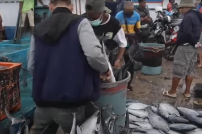 Ikan-ikan yang siap dijual di Kota Sorong. (Dok. Metro TV)<br>