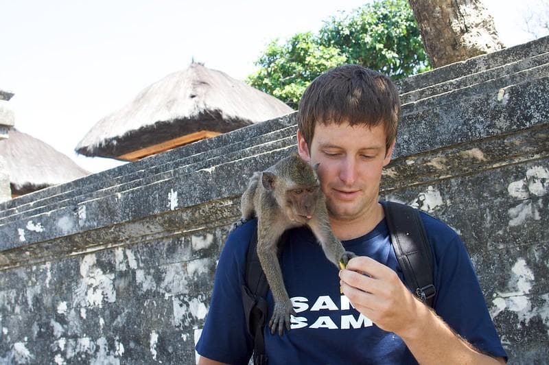 Ilustrasi: Monyet di Uluwatu Bali mempelajari para wisatawan yang datang sebelum memutuskan untuk mencuri benda mana yang dianggap paling berharga. (Flickr/

Zach Taylor)