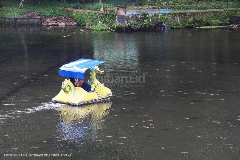Kamu juga bisa naik perahu bebek untuk berkeliling kolam<br>