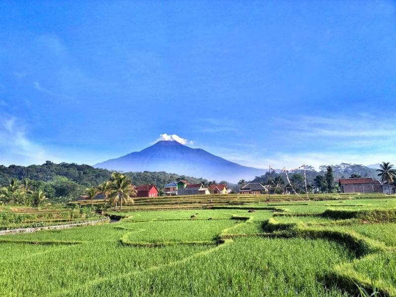 Desa Wisata Karangbanjar di Kecamatan Bojongsari, Purbalingga. (Instagram/tentang_fendy)