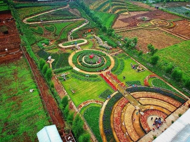Tempat wisata menawan di Kutabawa Flower Garden di Desa Kutabawa, Kecamatan Karangreja, Purbalingga. (Instagram/wisnudrone)