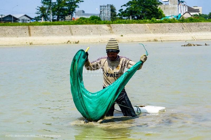 Banggok, salah seorang pencari cacing sutra di sungai Banjir Kanal Timur. <br>