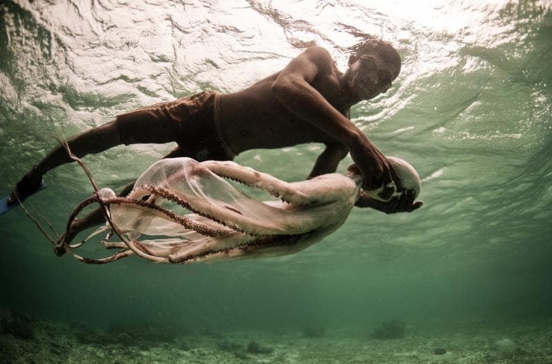 Orang Bajau tengah berburu binatang laut. (Lostininternet/James Morgan)