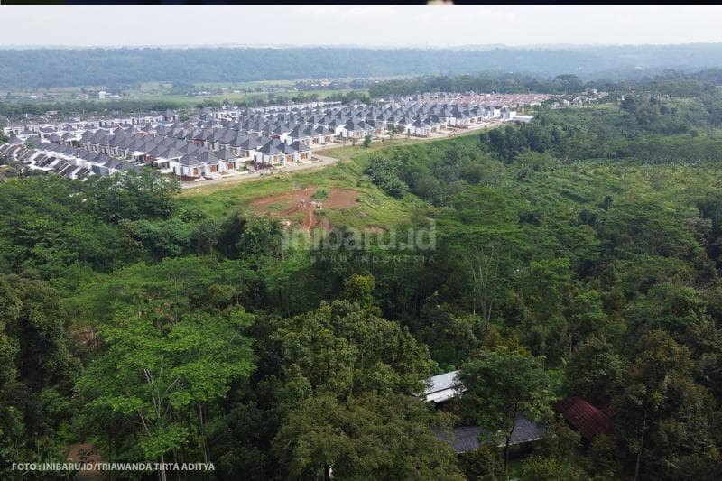 Kebun durian Yuyem berlokasi di Kecamatan Mijen, Kota Semarang.<br>