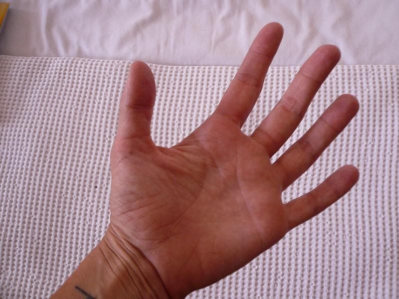 Tangan kiri dianggap kurang sopan untuk norma dan adat istiadat. (Flickr/colleenmorgan)