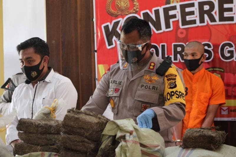 Indonesia ikut mengharamkan ganja setelah adanya Konvensi Tunggal tentang Narkotika. (Medcom)<br>