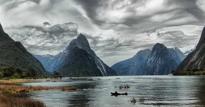 Selandia Baru. (Flickr/

John Morton)