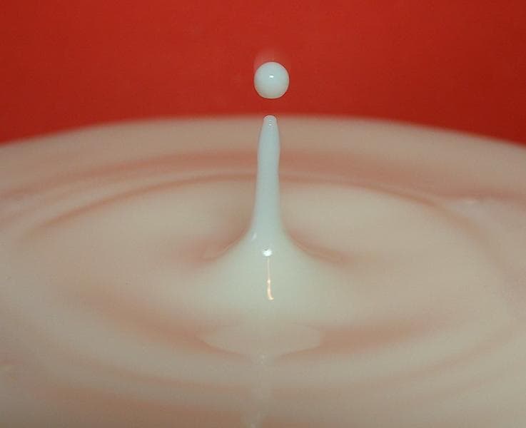 Susu hamil punya nutrisi yang lengkap dan tinggi. (Flickr/fdecomite)