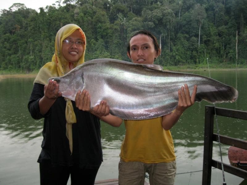 Dua orang perempuan tengah memegang ikan belida jumbo. (GNFI)