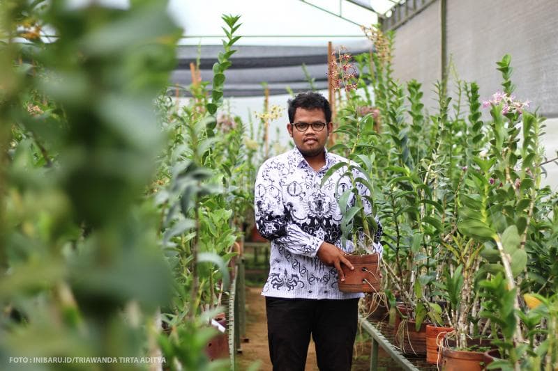 Ikhsan memamerkan anggrek jenis Dendrobium seharga jutaan rupiah di green house miliknya.<br>