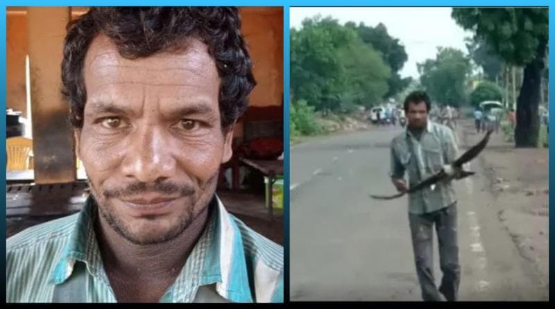 Balas Dendam, Induk Gagak Bertahun-tahun Menyerang Lelaki Ini